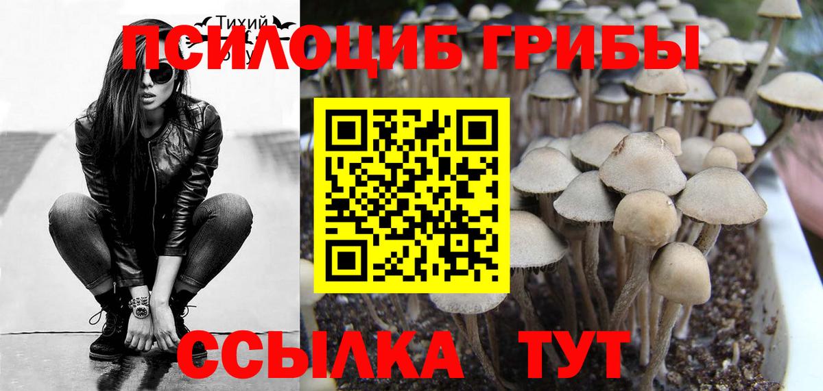 Амурск  Галлюциногенные грибы MAGIC MUSHROOMS  Вход с VPN 